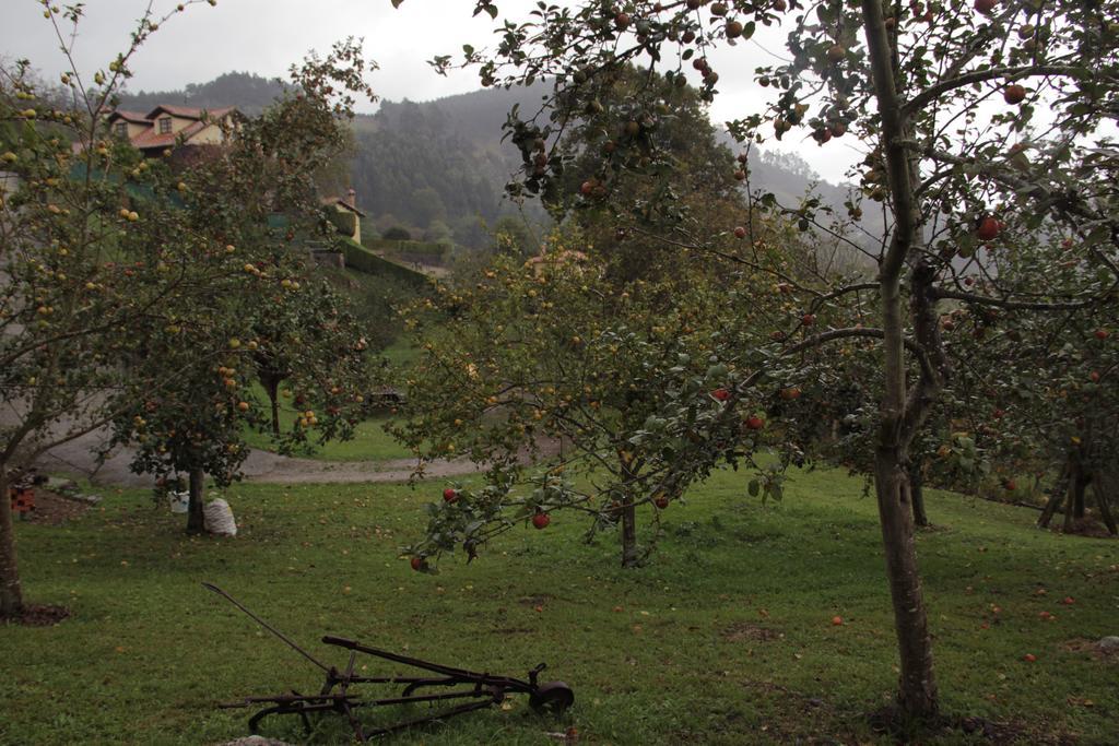 Trisqueles Y Buganvillas Villaviciosa  Buitenkant foto