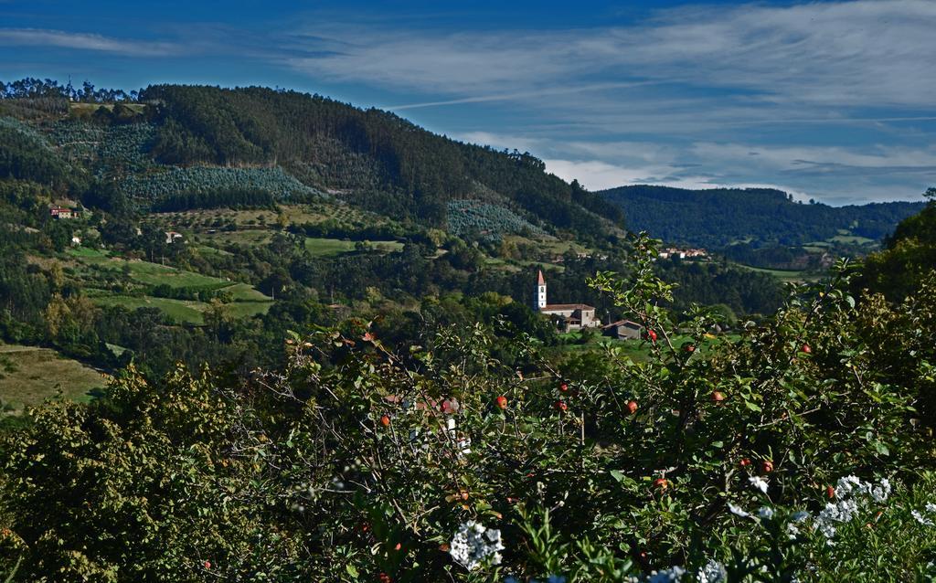Trisqueles Y Buganvillas Villaviciosa  Buitenkant foto